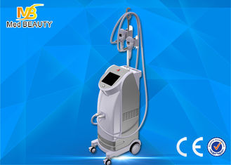 China Best seller vertical fat freezing cryolipolisis coolsculpting cryolipolysis machine proveedor